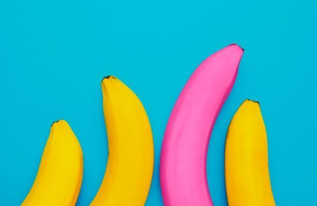 Le clitoris masculin existe-t-il vraiment ?  